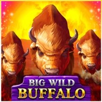 game logo by Belatra Games on n1betca.com